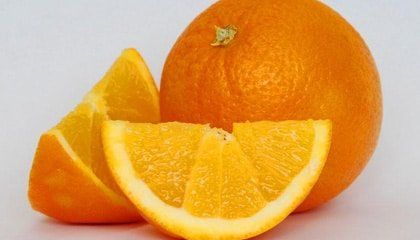 Central de Sermones - La naranja y el ateo