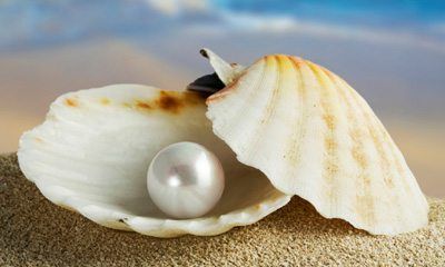 ilustraciones Cristianas - El origen de las perlas