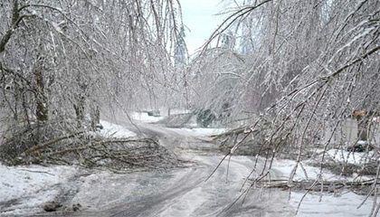 Predicas Cristianas - En medio del peor invierno, Él te levanta