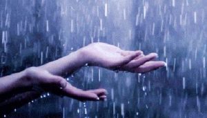 Estudios Biblicos - ¿Tiene la lluvia padre? Job 38.28