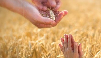 Bosquejos Biblicos- La Reconpensa del Ser Dadivos