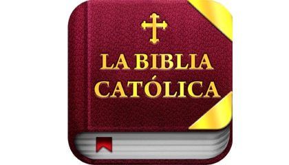Estudios Biblicos - Versiculos biblicos de la idolatría; version biblia catolica