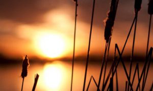 Reflexiones Cristianas... Transformados por Dios