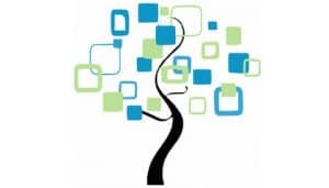 ¿Cuál es tu genealogía?