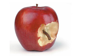 El gusano dentro de la manzana.. Predicas Cristianas