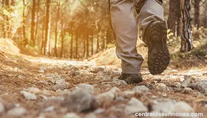 Caminar con Cristo.. Bosquejos Bíblicos