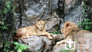 Foso de los Leones