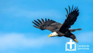 Volar como aguilas