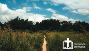 Pasos hacia una transformación espiritual